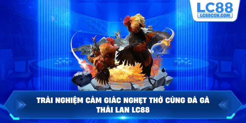 Trải nghiệm cảm giác nghẹt thở cùng đá gà Thái Lan LC88